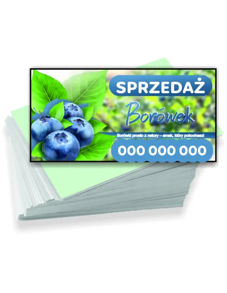 Wizytówki Firmowe Reklamowe 200 szt Różne Wzory Sprzedaż