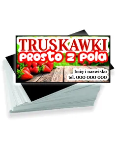 Wizytówki 200 szt Firmowe Reklamowe Różne Wzory Sprzedaż