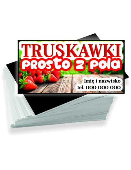 Wizytówki 200 szt Firmowe Reklamowe Różne Wzory Sprzedaż