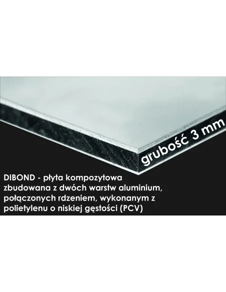 Tablica Adresowa 40x30 cm Dibond Plexi Oświetlony Numer