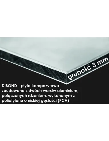 Tablica Adresowa Dibond Plexi z Lampką Numer Domu Adres