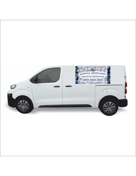 Reklama Naklejka na Samochód 0.5 m2 Borówki Amerykańskie