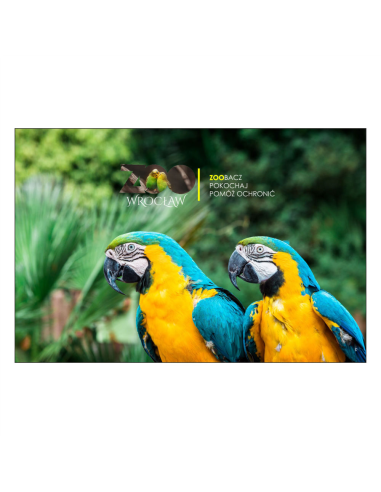 Magnesy na Lodówkę – Papugi,,zoo Zoobacz Pokochaj Pomóż