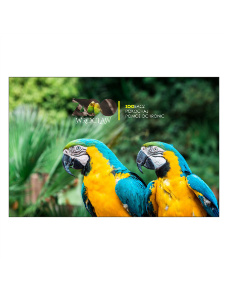 Magnesy na Lodówkę – Papugi,,zoo Zoobacz Pokochaj Pomóż