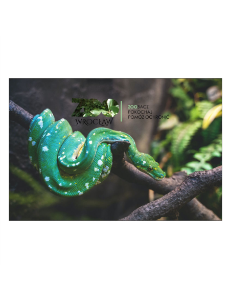 Magnesy na Lodówkę – Wąż,,zoo Zoobacz Pokochaj Pomóż