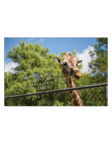 Magnesy na Lodówkę Fundacja Miejski Park Ogród Zoologiczny