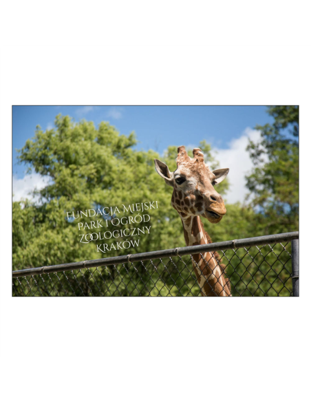 Magnesy na Lodówkę Fundacja Miejski Park Ogród Zoologiczny