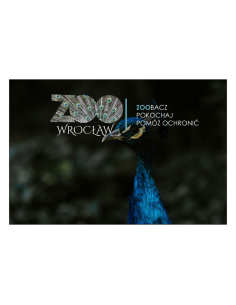 Magnesy na Lodówkę – Paw,,zoo Zoobacz Pokochaj Pomóż