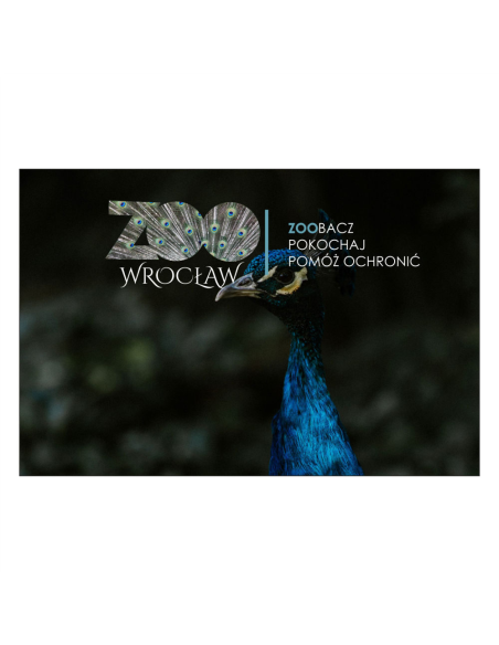 Magnesy na Lodówkę – Paw,,zoo Zoobacz Pokochaj Pomóż