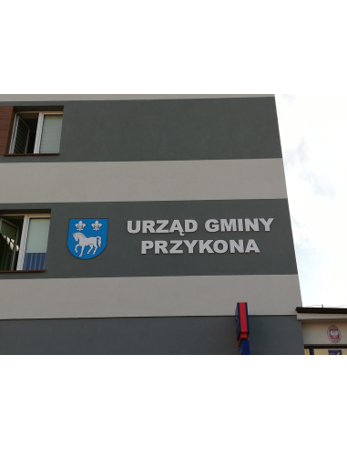Pojedyncza Litera ze Styroduru 20 cm Wysokość Grubość