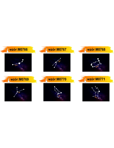 Magnesy na Lodówkę – Papugi,,zoo Zoobacz Pokochaj Pomóż