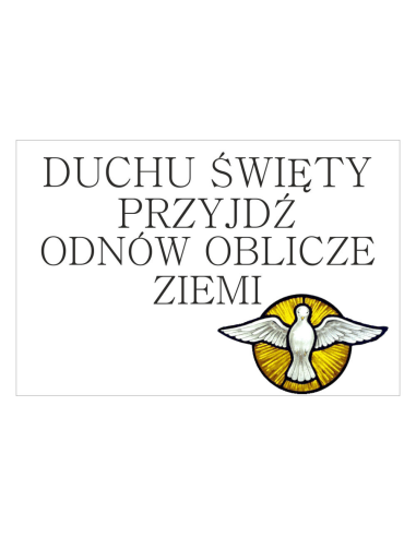Magnesy na Lodówkę – Duchu Świety Przyjdź Odnów Oblicze