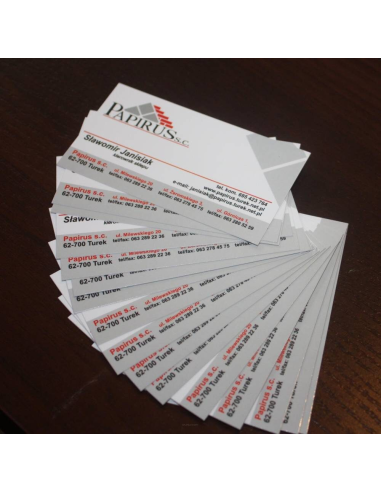 Wizytówki Druk Express Projekt 300 Szt. 48h Szybki Druk