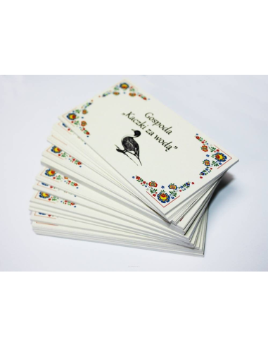 Wizytówki z Nadrukiem 100 szt 2 Strony 48h Szybki Expres