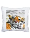 FOTO Poduszka prezent dla fana zwierząt z nadrukiem tygrys