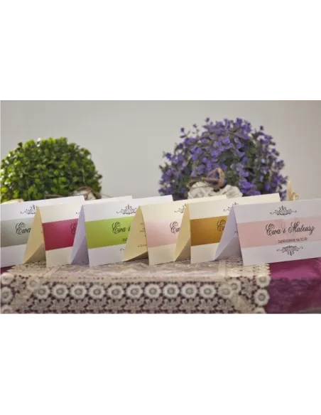 Zaproszenia Ślubne – Dl z Papierem Perłowym Elegancki