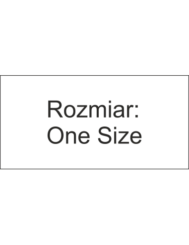 Czapka z płaskim daszkiem ODZIEŻ REKLAMOWA NADRUK DTF Logo grafika 20sztuk