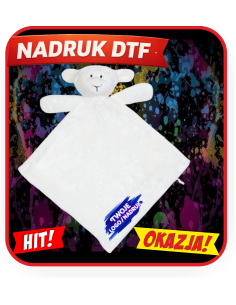 Dwuwarstwowy Kocyk/miś odzież reklamowa DTF logo trwały nadruk pełny kolor