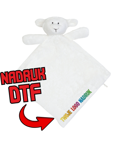 Dwuwarstwowy Kocyk/miś ODZIEŻ REKLAMOWA NADRUK DTF Logo grafika 20sztuk