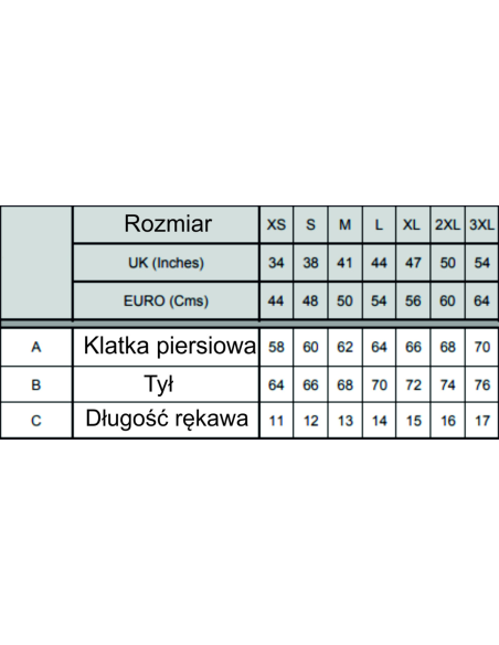 Polar Kamizelka męska firmowa PERSONALIZACJA NADRUK DTF Twoja grafika 10 SZT