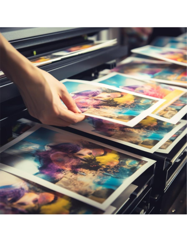 Foto Plakat B2 50x70,7cm Full Kolor Papier premium Wysoka Rozdzielczość 1szt