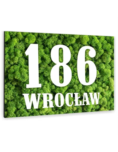 Numer na Budynek Dom Tabliczka Inox Kolorowy Nadruk