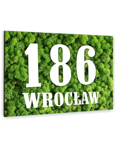 Tabliczka 40x30 cm Numer Budynek Dom Inox Kolorowy