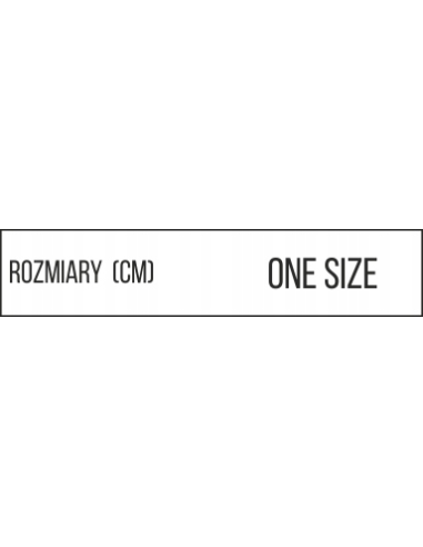 Bear In T-Shirt Miś w koszulce reklamowy DTF logo trwały nadruk pełny kolor