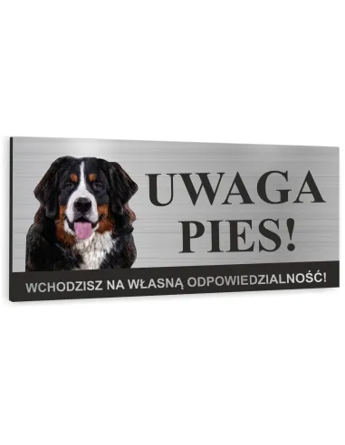 Tabliczka z Nadrukiem Uwaga Zły Pies Berneński Pasterski