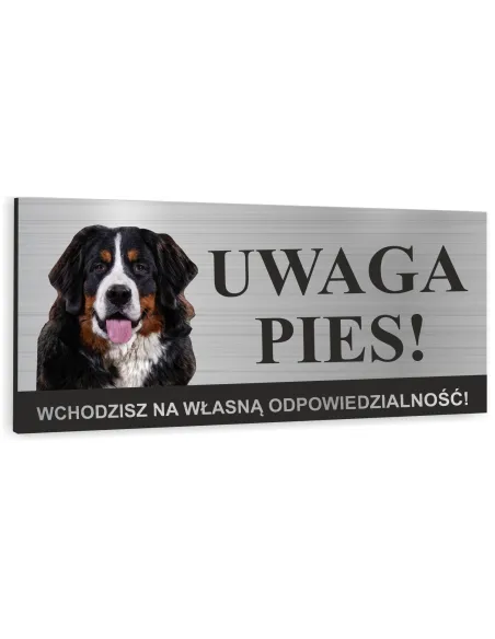 Tabliczka z Nadrukiem Uwaga Zły Pies Berneński Pasterski