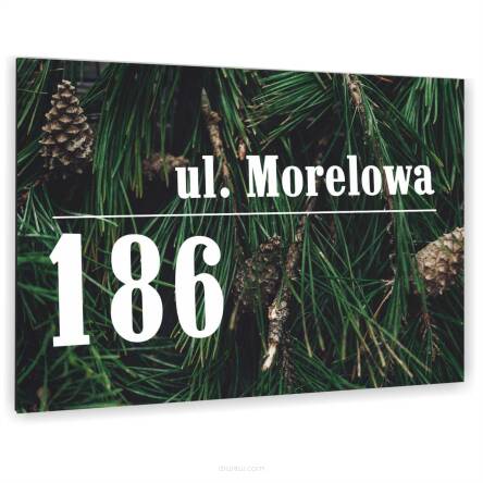 METALOWA kolorowa TABLICA ADRESOWA NAZWA ULICY ALUMINIUM 3D 20x30cm dibond