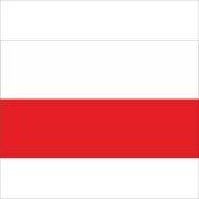 Flaga Polski naklejka naklejki 5 szt 7x4 cm dla kibica