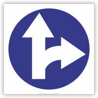 Znak drogowy Tablica informacyjna C6 nakaz jazdy prosto lub w prawo -znak nakazu 30x30 cm