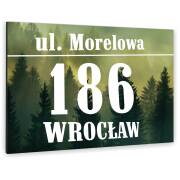 Tablica ALUMINIOWA adresowa Tabliczka Numer Domu różne kolory i wzory 15x20 dibond