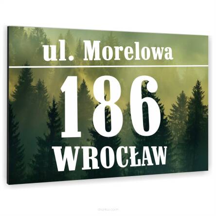 Tablica ALUMINIOWA adresowa Tabliczka Numer Domu różne kolory i wzory 30x20 dibond