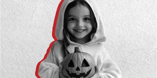 LISTOPAD – intensywny sezon promocji i przygotowania do świąt